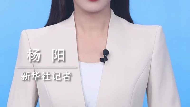 SaaS平台定制开发：企业数字化转型的新引擎
